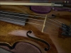 Violin - Herzlia, 2004