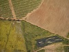 Fields