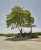 Petrol Station