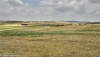 Tel Burna