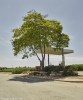 Petrol Station - Moshav Arugot, Beer Tuvya Regional Council, June 2020