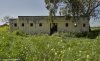 Stables