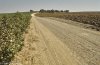 Road