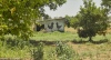 Cowshedl