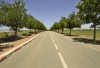 Road